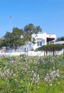 Kontos House | Leodi Place