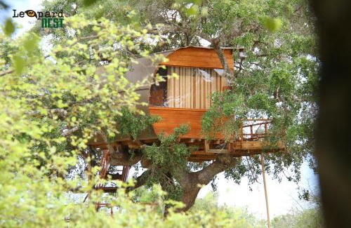 Palatupana Other | Leopard Nest - Glamping in Yala