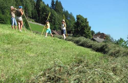 Feld am See Apartment | Lercherhof