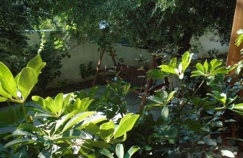 Alinda Apartment | Leros Eleonas Apartments