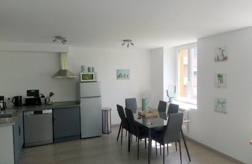 Saint-Etienne Apartment | Les Cactus