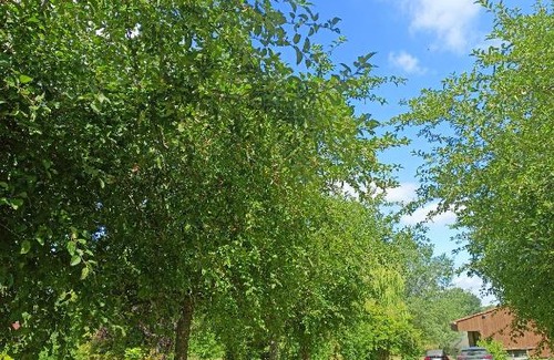 Verlinghem House | Les chambres du Vert Galant Rez de jardin