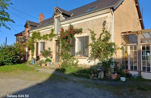 Cluis Bed & Breakfast | Les Chaumes Violettes-Chambres & Table d'hôtes à la campagne, Berry