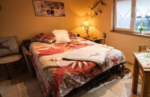 Saasenheim Apartment | Les Chouchous du Ried 3/Proche Europapark