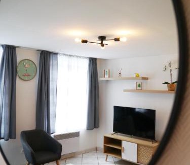 Saint-Pierre - Rene II - Bonsecours Apartment | Les Cosy de Nancy - Le repère du roi stanislas 4étoiles