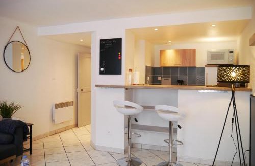 Saint-Pierre - Rene II - Bonsecours Apartment | Les Cosy de Nancy - Le repère du roi stanislas 4étoiles