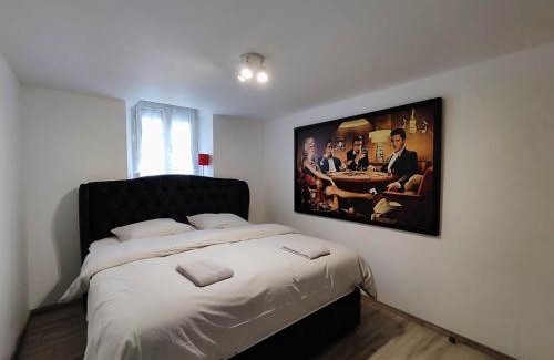 Sausheim House | #Les Dahlias - Charmante maison sur Sausheim