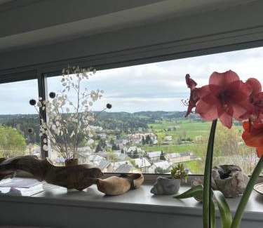 Saint-Alban-sur-Limagnole House | Les genêts