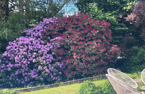 Croix Bed & Breakfast | Les Glycines