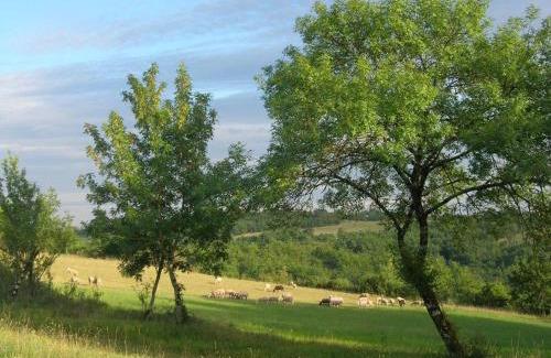 Albas House | Les Hauts d'Albas