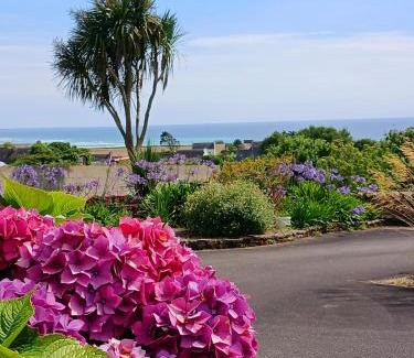 Plozevet House | Les hortensias de papy