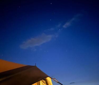 Valensole Other | Les lavandes