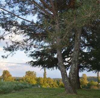 Banne Bed & Breakfast | Les loups dans la bergerie