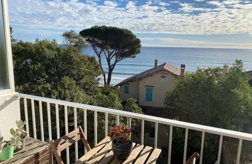 Les Sablettes Apartment | LES SABLETTES LES PIEDS dans L'EAU
