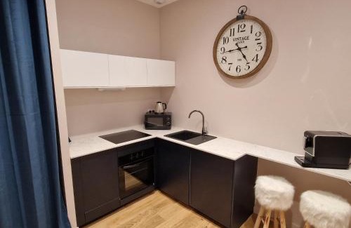 Vauban - Wazemmes Apartment | Les Spas du Sébasto