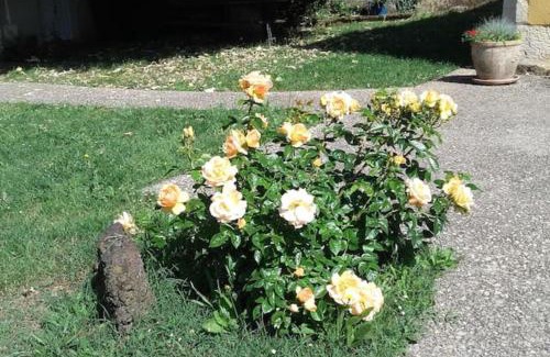 La Bussiere House | Les Tortues