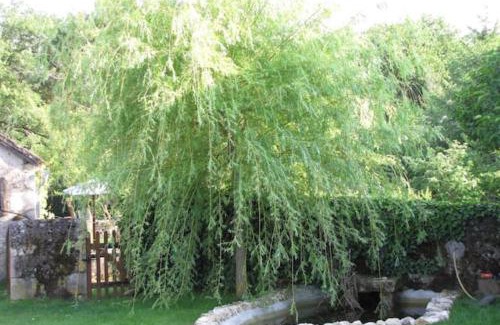 La Bussiere House | Les Tortues