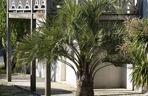 Aytre Apartment | Less than 100 m from the sea, near La Rochelle: pretty T2 with private garden