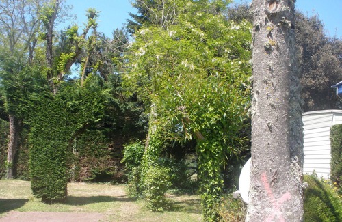 La Cotiniere House | Less than 200 meters from the sea!