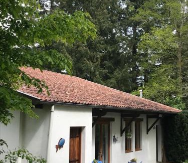 Saint-Junien House | L’Etang Carp fishing lake and Gite