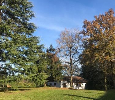 Saint-Junien House | L’Etang Carp fishing lake and Gite