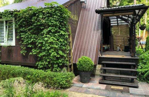 Blanki Cabin | Letnisko SYMSAR 6, Drewniany domek letniskowy z ogrodem