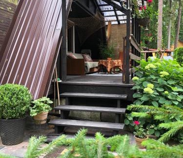 Blanki Cabin | Letnisko SYMSAR 6, Drewniany domek letniskowy z ogrodem