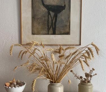 Leucate House | Leucate