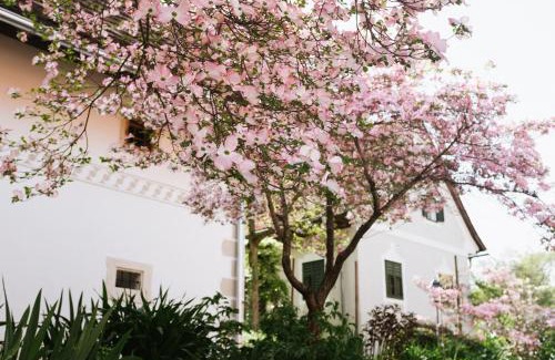 Wildon Apartment | Lexsimihof - Presshaus