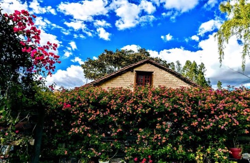 Duitama House | Libélula Cabaña- Alojamiento rural