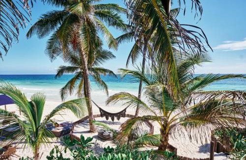 Zona Hotelera Hotel | Libelula Tulum Beachfront Hotel