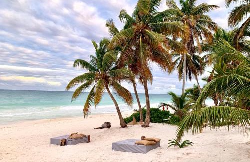 Zona Hotelera Hotel | Libelula Tulum Beachfront Hotel
