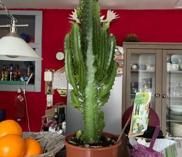 La Meignanne Apartment | Libertécool