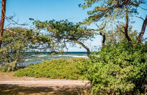 Tingstade Resort | Lickershamns Semesterby