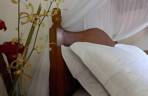 Marau Ski Chalet | Licuri Praia de Algodões se hospedar na beira mar