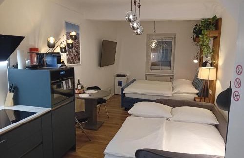 Klagenfurt am Woerthersee Apartment | Lidmansky 3 - Tinyhomes Klagenfurt