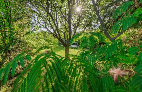 Pazmandfalu House | Liget Guest House