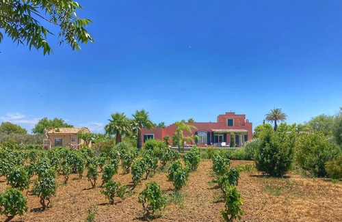 Cutrofiano Villa | Light flooded Poolvilla embedded in vineyards