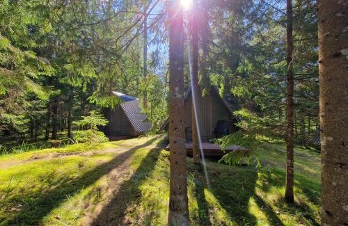 Kadrina Parish Other | Liivakõrtsi kämping
