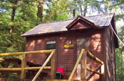Saranac Lake Cabin | "Like a treehouse!" Adirondack Pet Friendly Cabin Suitable For 2 | Lake Access