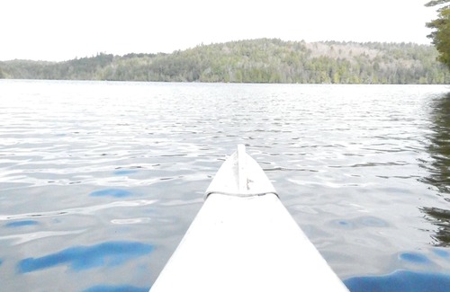 Saranac Lake Cabin | "Like a treehouse!" Adirondack Pet Friendly Cabin Suitable For 2 | Lake Access
