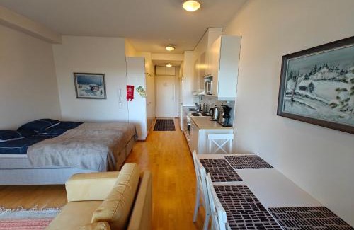 Kemi Apartment | Lil Haven Cozy Studio with Sauna, Glassed Balcony and Free Parking