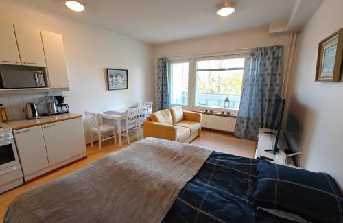 Kemi Apartment | Lil Haven Cozy Studio with Sauna, Glassed Balcony and Free Parking