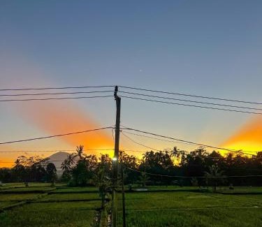 Taro House | Lila Sari Guest House Rom Only