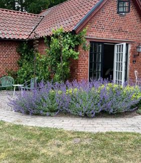 Trelleborg House | Lilla Huset