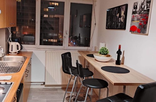Mons-en-Baroeul Apartment | Lille-Apartment-Apartment-Ensuite with Bath-City view