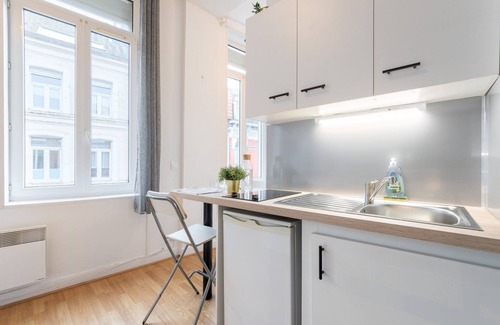 Saint-Maurice Pellevoisin Apartment | Lille Saint Maurice - Nice and functional studio