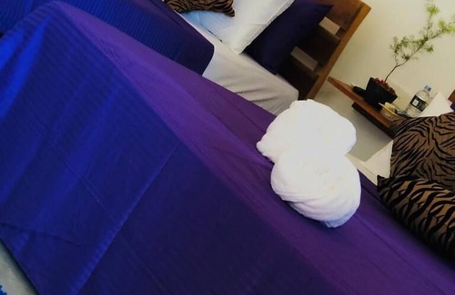 Udawalawa Bed & Breakfast | Lily Resort Udawalawe