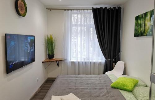 Klaipeda Apartment | Lime studio apartment