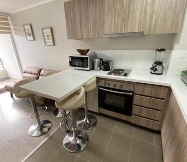 Pucon Apartment | Lindo y acogedor